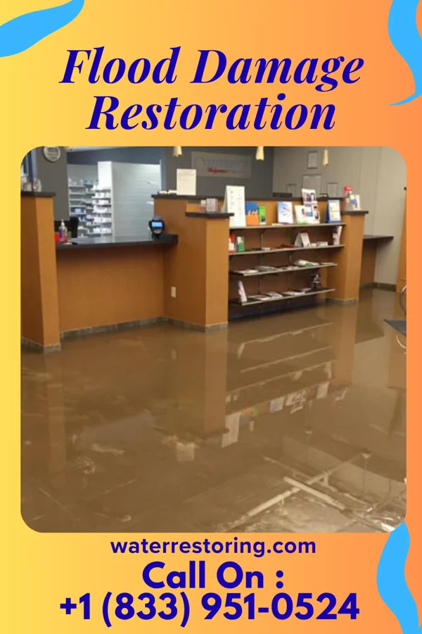Flood Damage Restoration in Clayhatchee, AL